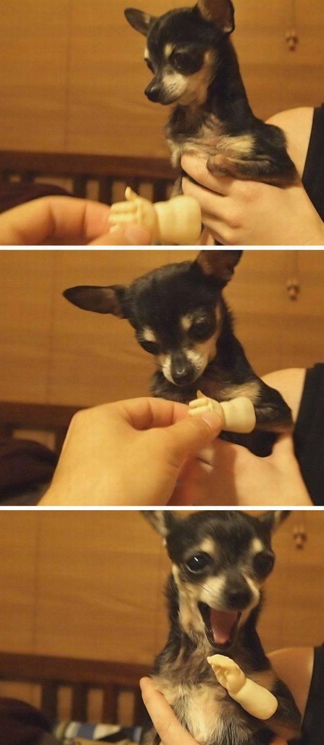 daily picdump 95 pics 40.html - 95 HD Photos | Premium Gallery 2017