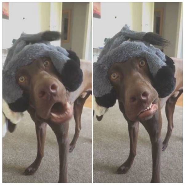 morning picdump 51 pics 6.html - 51 HD Photos | Premium Gallery 2017