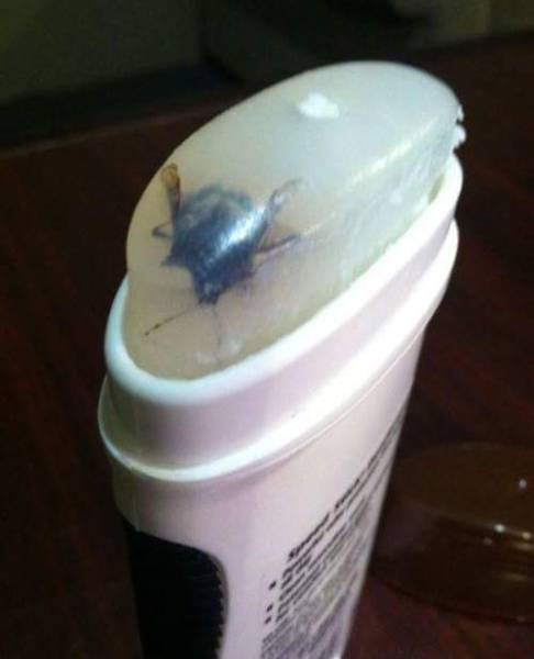 morning picdump 51 pics 6.html - 51 HD Photos | Premium Gallery 2017