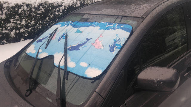 morning picdump 51 pics 6.html - 51 HD Photos | Premium Gallery 2017