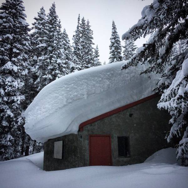 morning picdump 51 pics 6.html - 51 HD Photos | Premium Gallery 2017