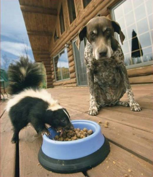 morning picdump 51 pics 6.html - 51 HD Photos | Premium Gallery 2017