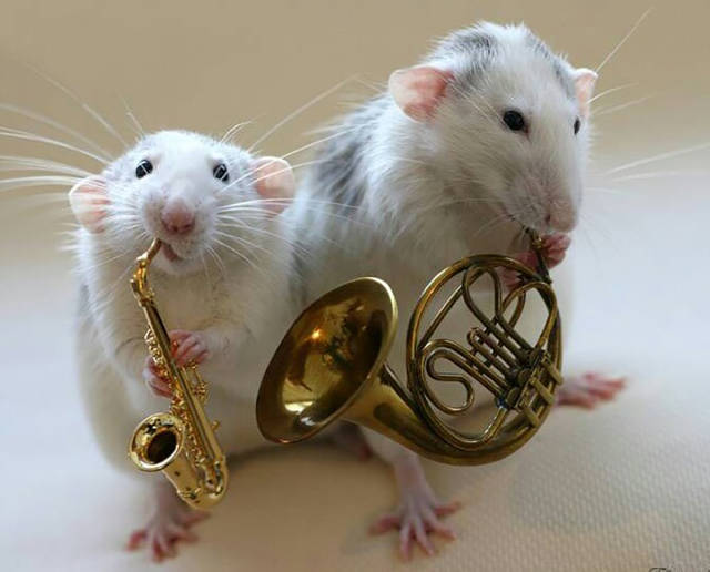 morning picdump 51 pics 6.html - 51 HD Photos | Premium Gallery 2017