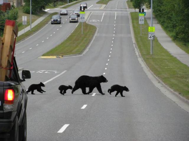 daily picdump 100 pics 35.html - 100 HD Photos | Premium Gallery 2017