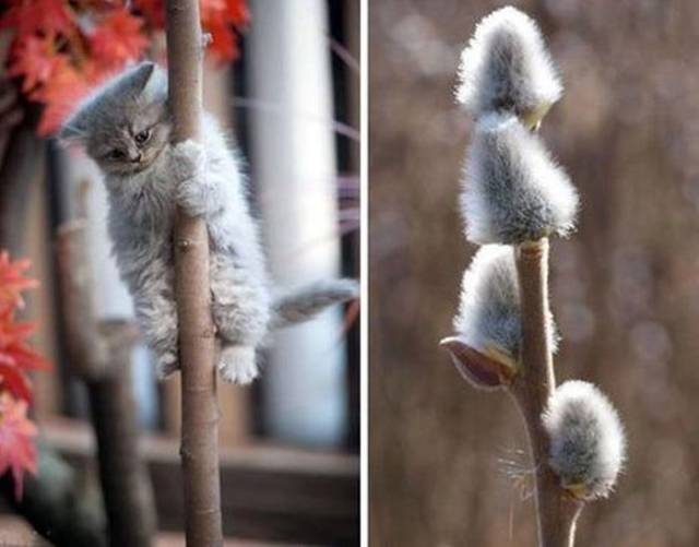 daily picdump 100 pics 35.html - 100 HD Photos | Premium Gallery 2017