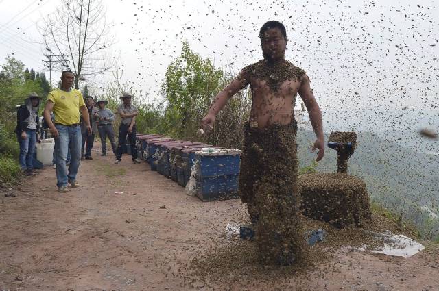 daily picdump 100 pics 35.html - 100 HD Photos | Premium Gallery 2017