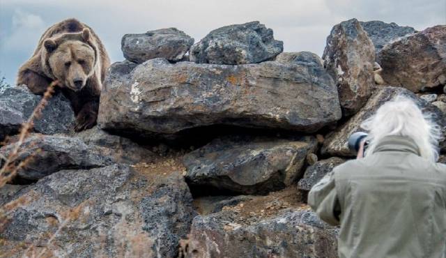 daily picdump 100 pics 35.html - 100 HD Photos | Premium Gallery 2017