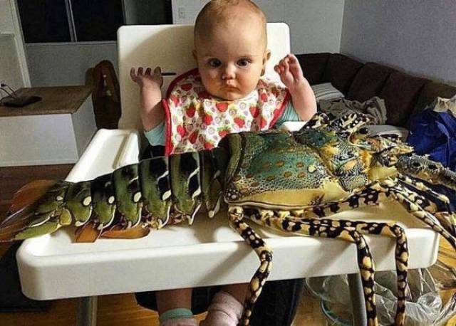 daily picdump 100 pics 35.html - 100 HD Photos | Premium Gallery 2017