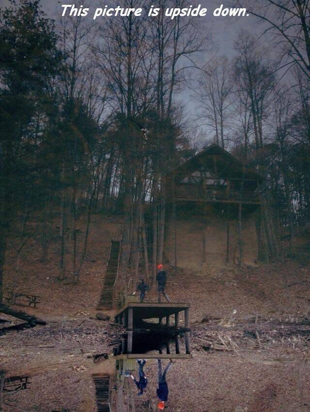 daily picdump 100 pics 35.html - 100 HD Photos | Premium Gallery 2017