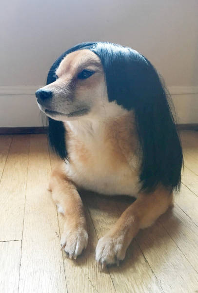 morning picdump 50 pics 15.html - 50 HD Photos | Premium Gallery 2017