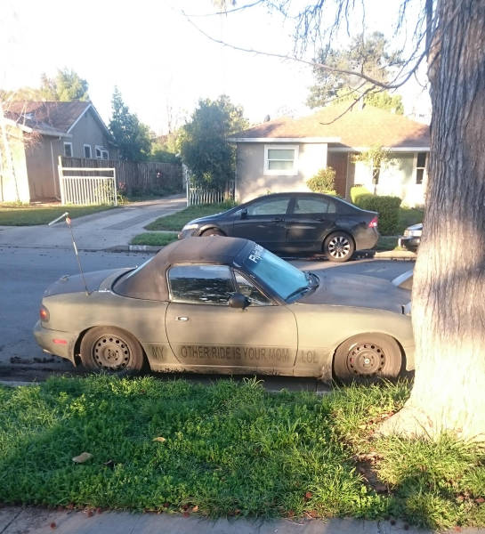 morning picdump 50 pics 15.html - 50 HD Photos | Premium Gallery 2017