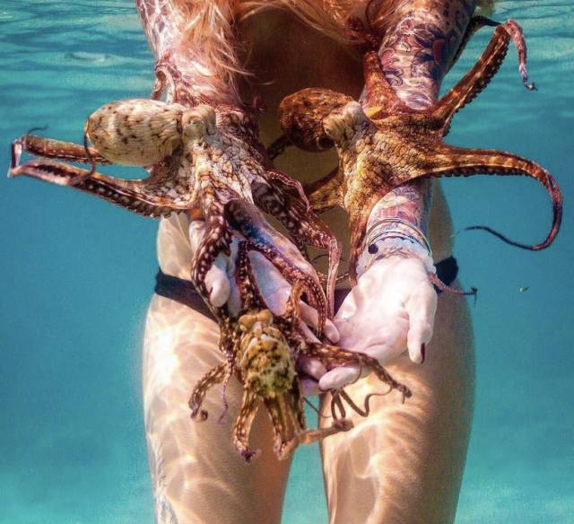 morning picdump 50 pics 15.html - 50 HD Photos | Premium Gallery 2017