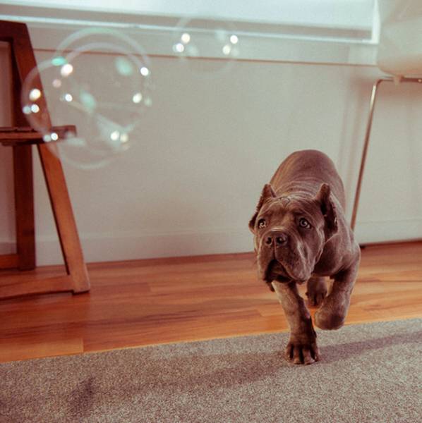 morning picdump 50 pics 15.html - 50 HD Photos | Premium Gallery 2017