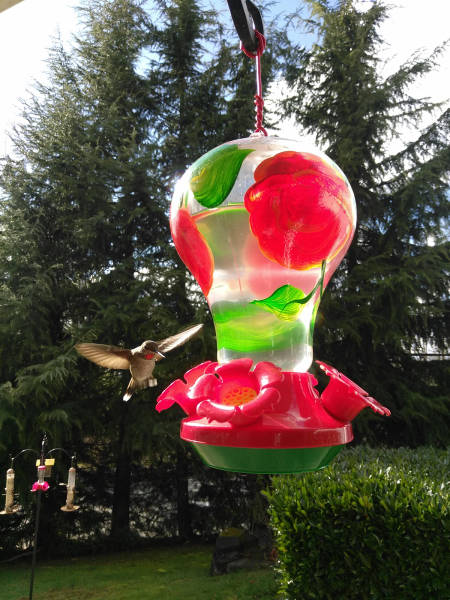 morning picdump 50 pics 15.html - 50 HD Photos | Premium Gallery 2017