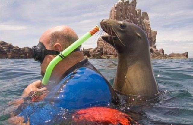 daily picdump 101 pics 35.html - 101 HD Photos | Premium Gallery 2017