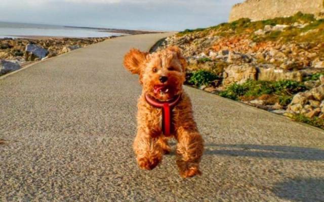 daily picdump 101 pics 35.html - 101 HD Photos | Premium Gallery 2017