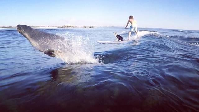 Daily Picdump [WEEKEND EDITION]