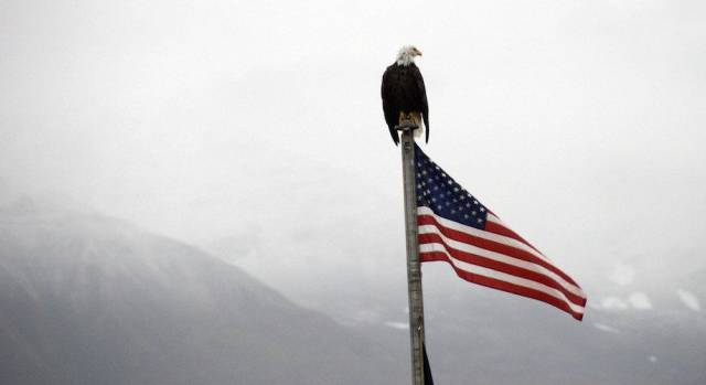 Daily Picdump [WEEKEND EDITION]