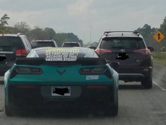 daily picdump weekend edition 64 pics 24.html - 64 HD Photos | Premium Gallery 2017