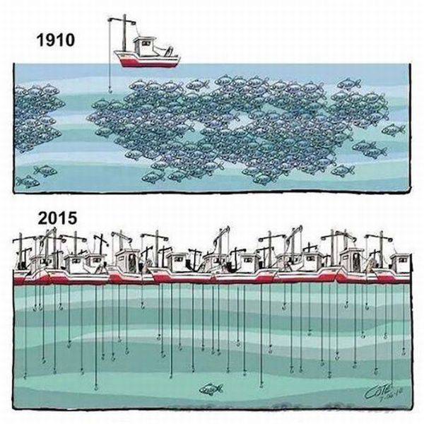 daily picdump weekend edition 64 pics 24.html - 64 HD Photos | Premium Gallery 2017