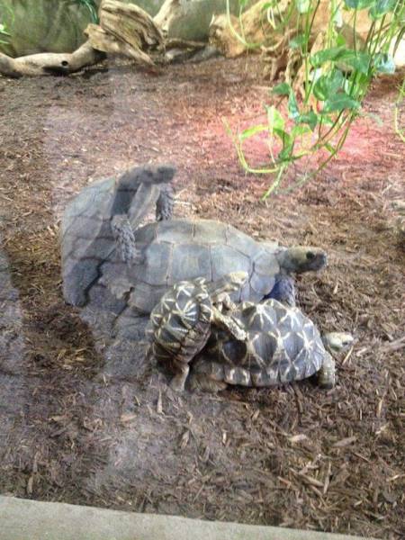 daily picdump 101 pics 24.html - 101 HD Photos | Premium Gallery 2017