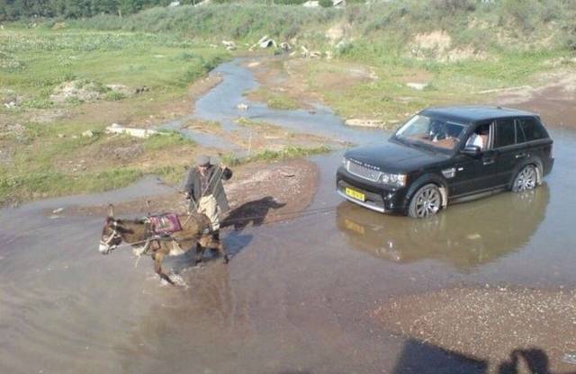 daily picdump 101 pics 24.html - 101 HD Photos | Premium Gallery 2017