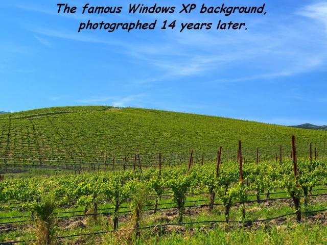 daily picdump 101 pics 24.html - 101 HD Photos | Premium Gallery 2017