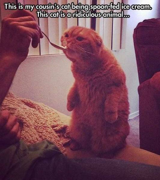 daily picdump 101 pics 24.html - 101 HD Photos | Premium Gallery 2017