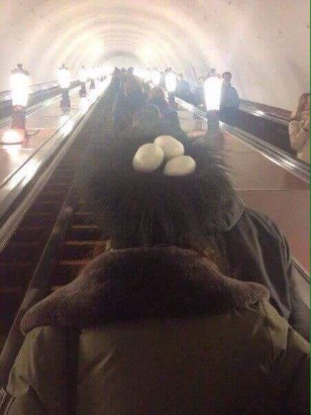 daily picdump 96 pics 25.html - 96 HD Photos | Premium Gallery 2017