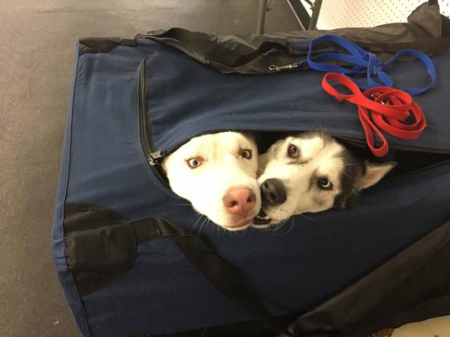 daily picdump 96 pics 25.html - 96 HD Photos | Premium Gallery 2017