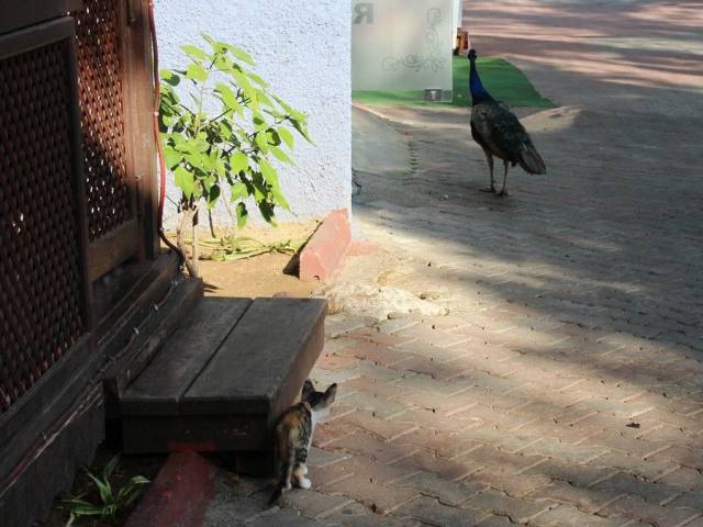 daily picdump 96 pics 25.html - 96 HD Photos | Premium Gallery 2017