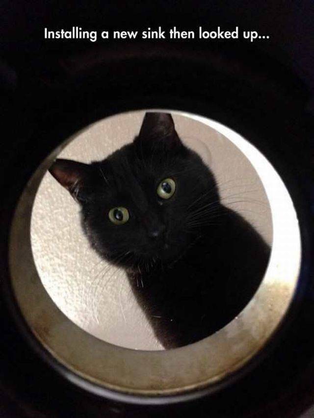 daily picdump 96 pics 25.html - 96 HD Photos | Premium Gallery 2017