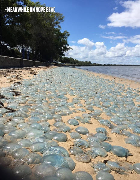 morning picdump 50 pics 7.html - 50 HD Photos | Premium Gallery 2017