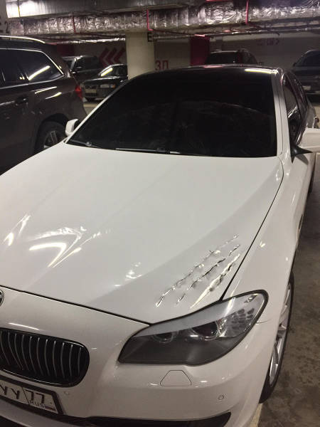 morning picdump 50 pics 7.html - 50 HD Photos | Premium Gallery 2017