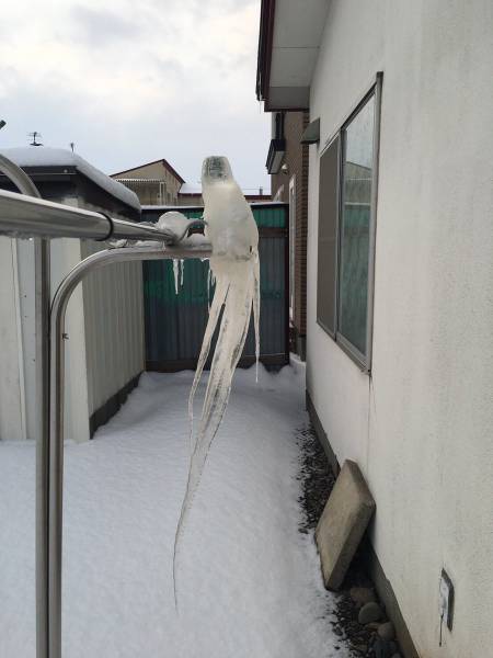 morning picdump 52 pics 23.html - 52 HD Photos | Premium Gallery 2017