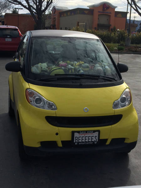 morning picdump 52 pics 23.html - 52 HD Photos | Premium Gallery 2017