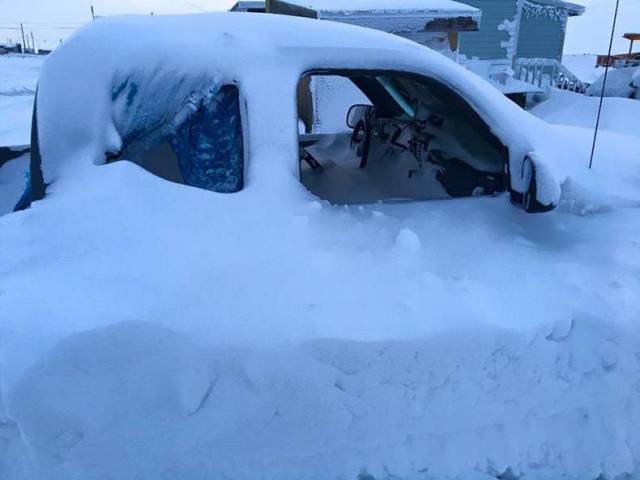 daily picdump 96 pics 41.html - 96 HD Photos | Premium Gallery 2017