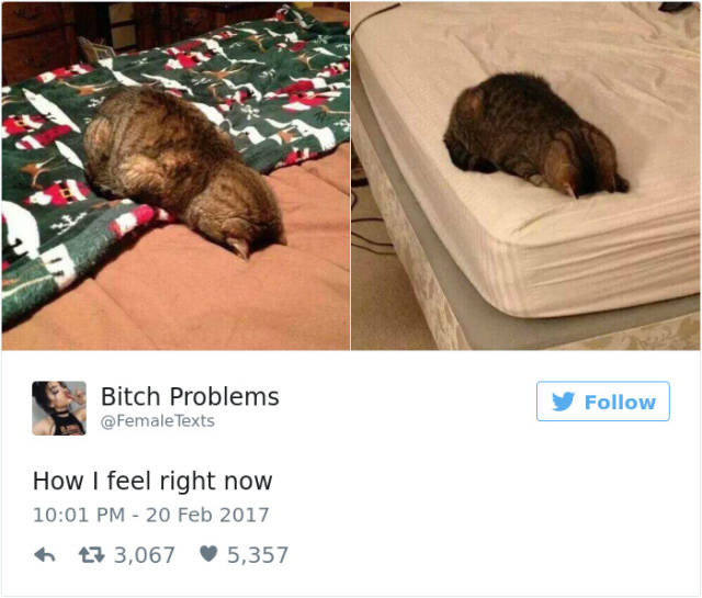 Twitter Reveals The Not-So-Attractive Side Of A Woman’s Life