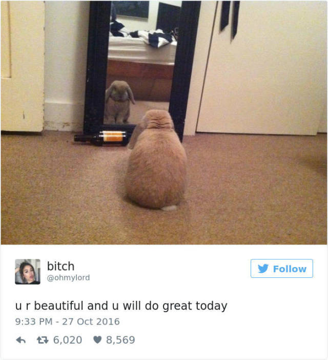 Twitter Reveals The Not-So-Attractive Side Of A Woman’s Life