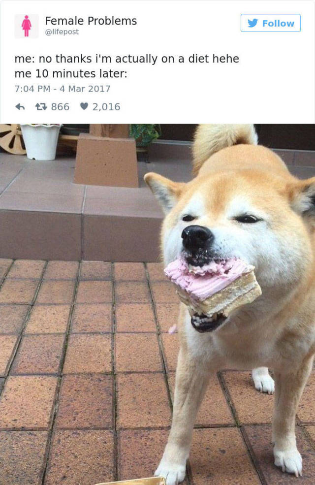 Twitter Reveals The Not-So-Attractive Side Of A Woman’s Life