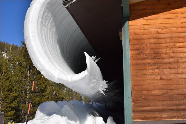 daily picdump 100 pics 49.html - 100 HD Photos | Premium Gallery 2017