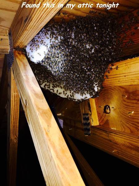 daily picdump 100 pics 49.html - 100 HD Photos | Premium Gallery 2017