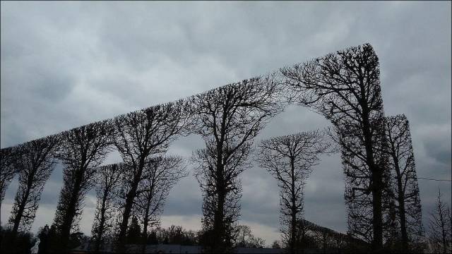 daily picdump 100 pics 49.html - 100 HD Photos | Premium Gallery 2017