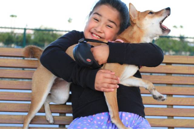 daily picdump 100 pics 49.html - 100 HD Photos | Premium Gallery 2017