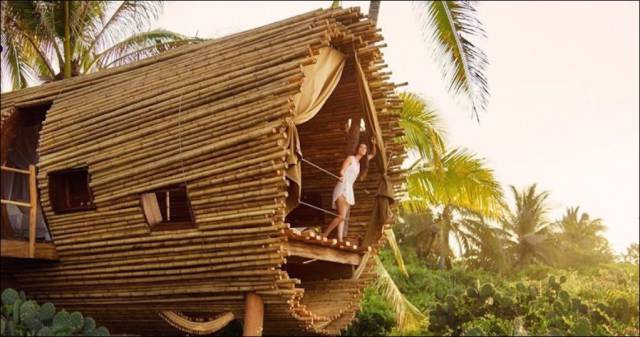 daily picdump 100 pics 49.html - 100 HD Photos | Premium Gallery 2017