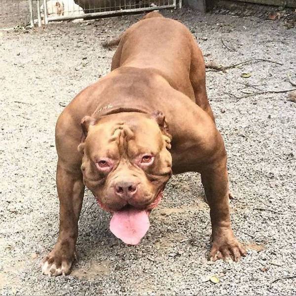 daily picdump 100 pics 49.html - 100 HD Photos | Premium Gallery 2017