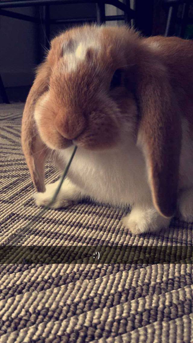 morning picdump 53 pics 23.html - 53 HD Photos | Premium Gallery 2017