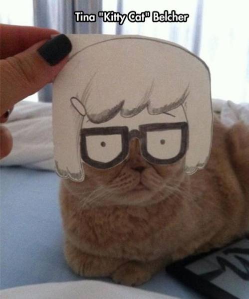 Daily Picdump [WEEKEND EDITION]