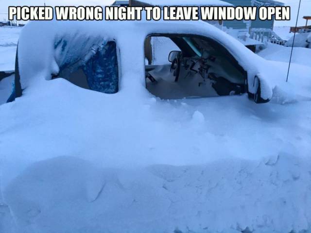 Daily Picdump [WEEKEND EDITION]