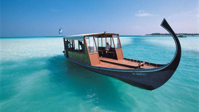 daily picdump weekend edition 51 pics 25.html - 51 HD Photos | Premium Gallery 2017